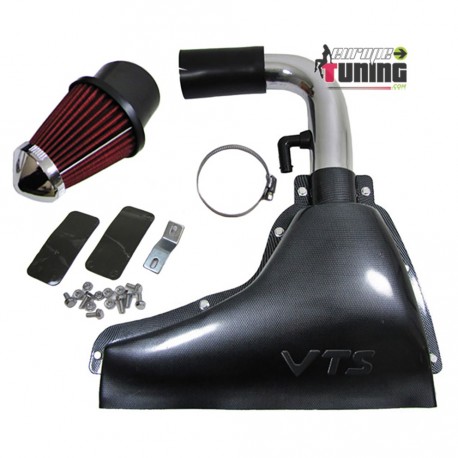 ADMISSION DIRECT LOOK CARBONE POUR SAXO (02296)