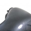 ADMISSION DIRECT LOOK CARBONE POUR SAXO (02296)