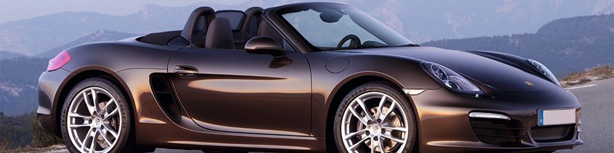 Boxster 981 & 718